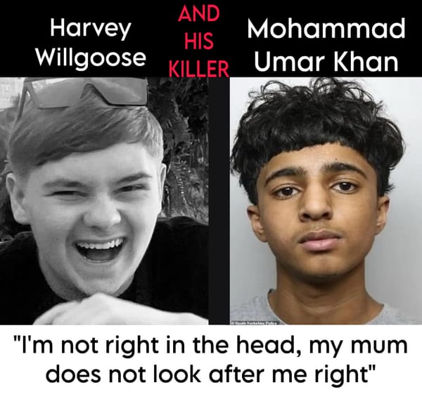 How a Broken System Led to Harvey Willgoose’s Death.